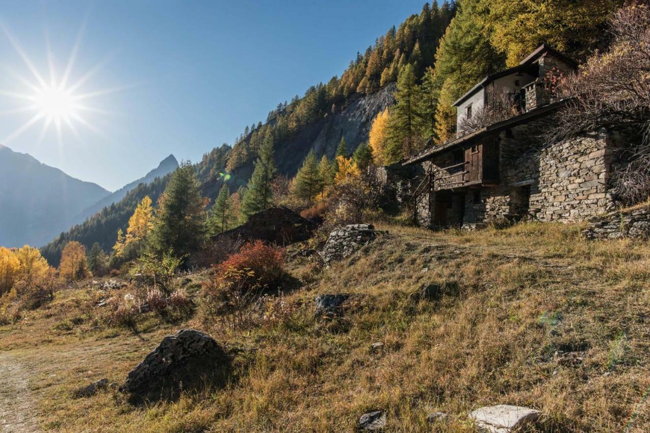 Apartment Maison I Mont Blanc